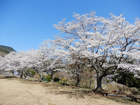 DSCN9430
