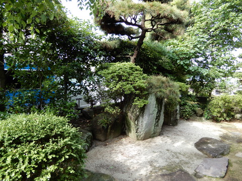 DSCN4523