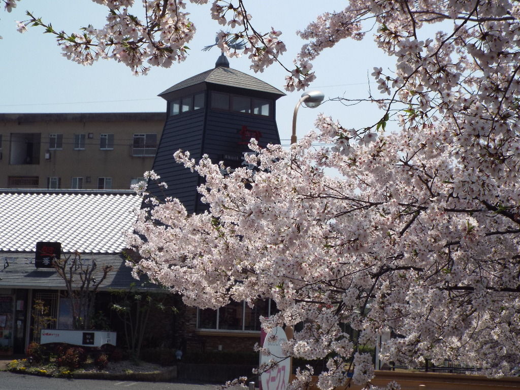 イメージ 5