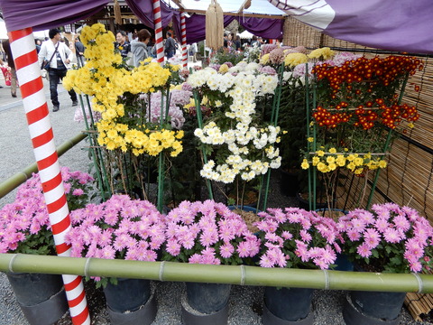 DSCN3279