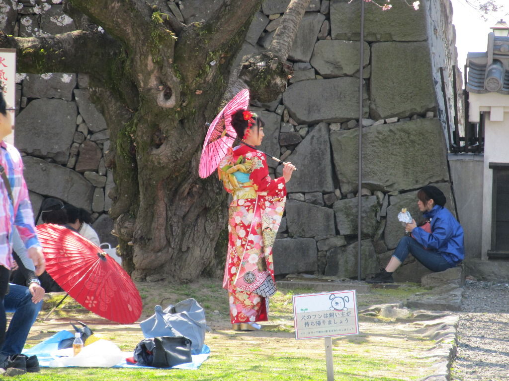 イメージ 12