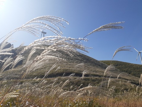 20201031_112107