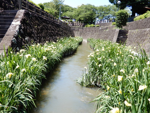 DSCN8602