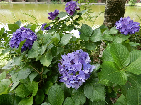 DSCN4543