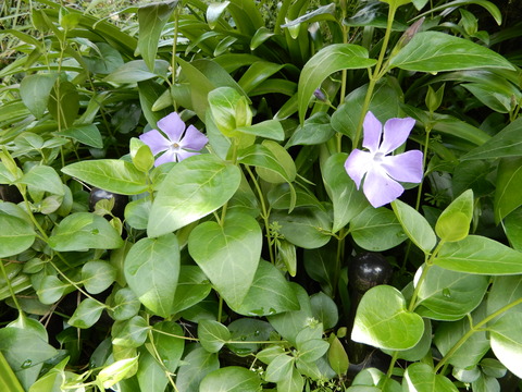 DSCN9467