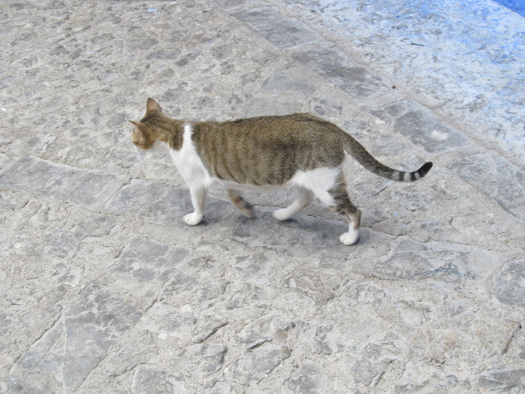 イメージ 12