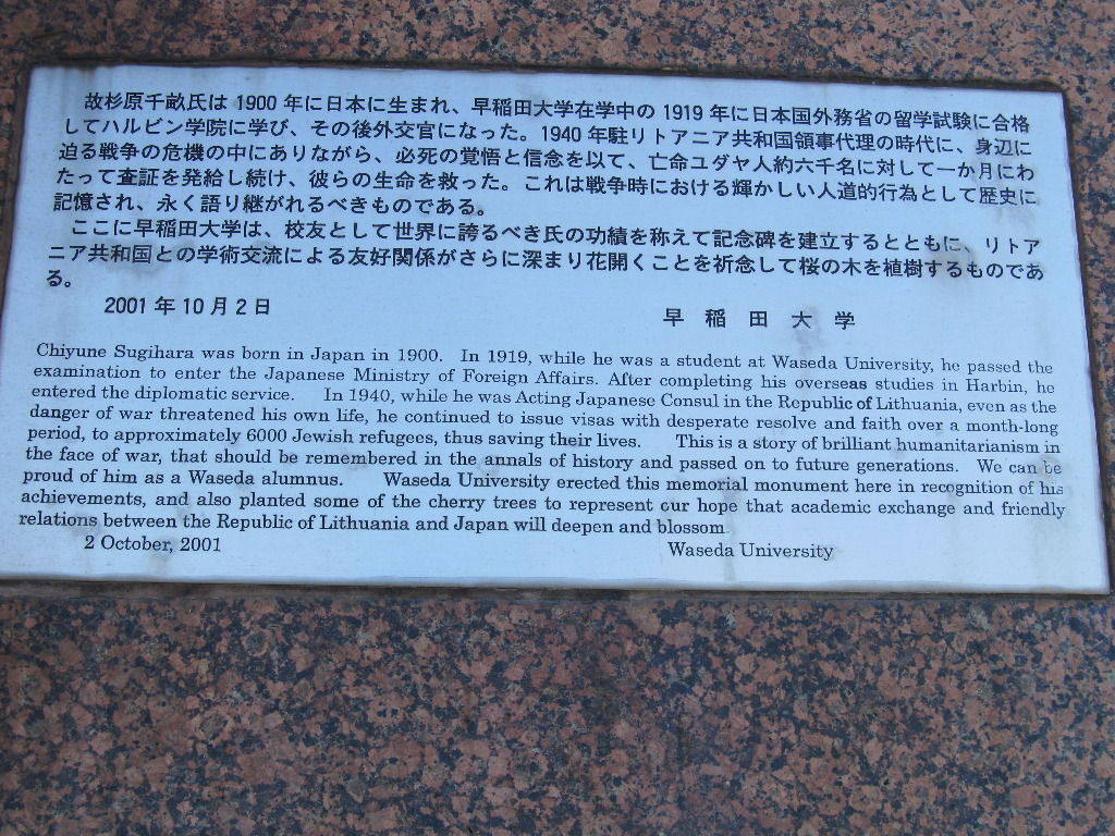 イメージ 10