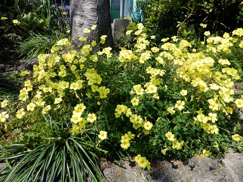 DSCN3577