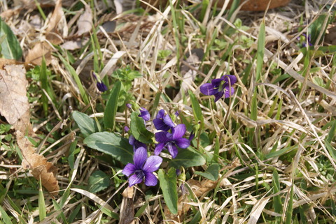 DSC00044