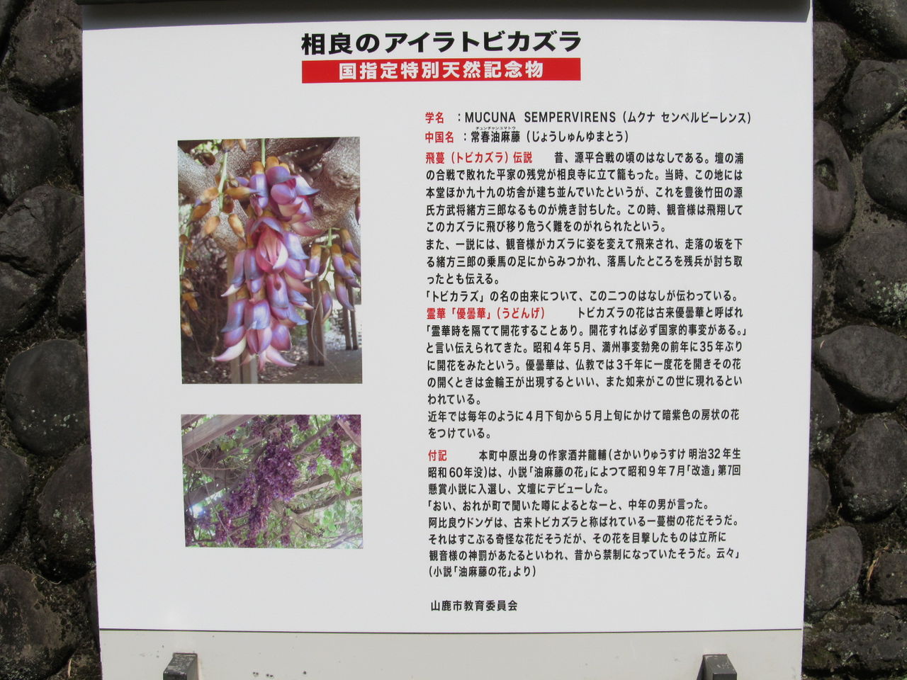 イメージ 3