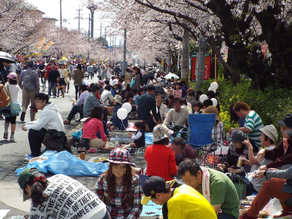 イメージ 13