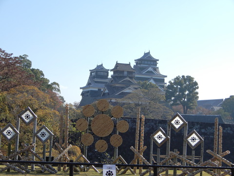 DSCN6300