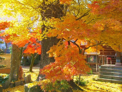 岳林寺
