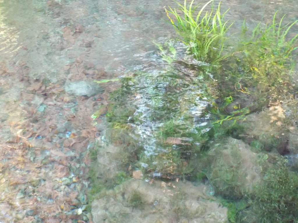 イメージ 11