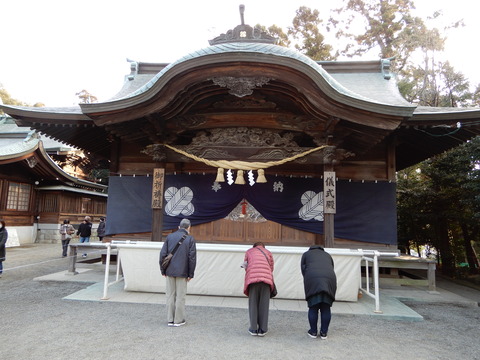 DSCN6551