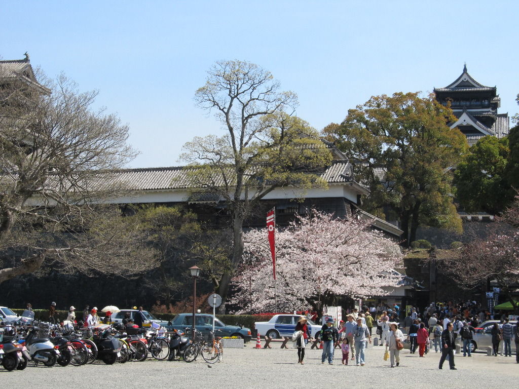 イメージ 4