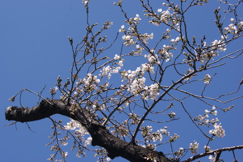 DSC00027