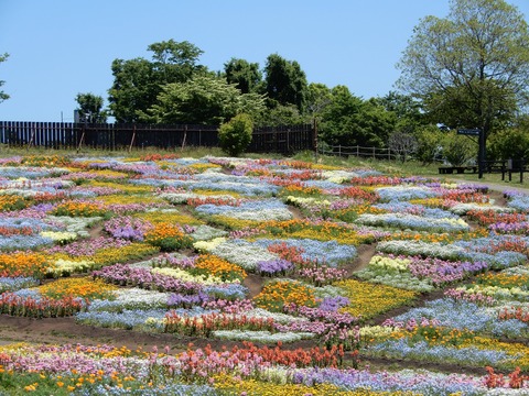 花公園３