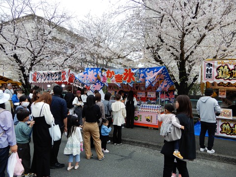 桜４
