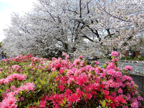 DSCN3753