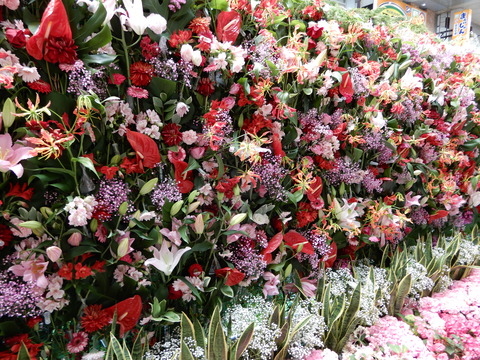 DSCN5667