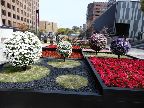 DSCN5332