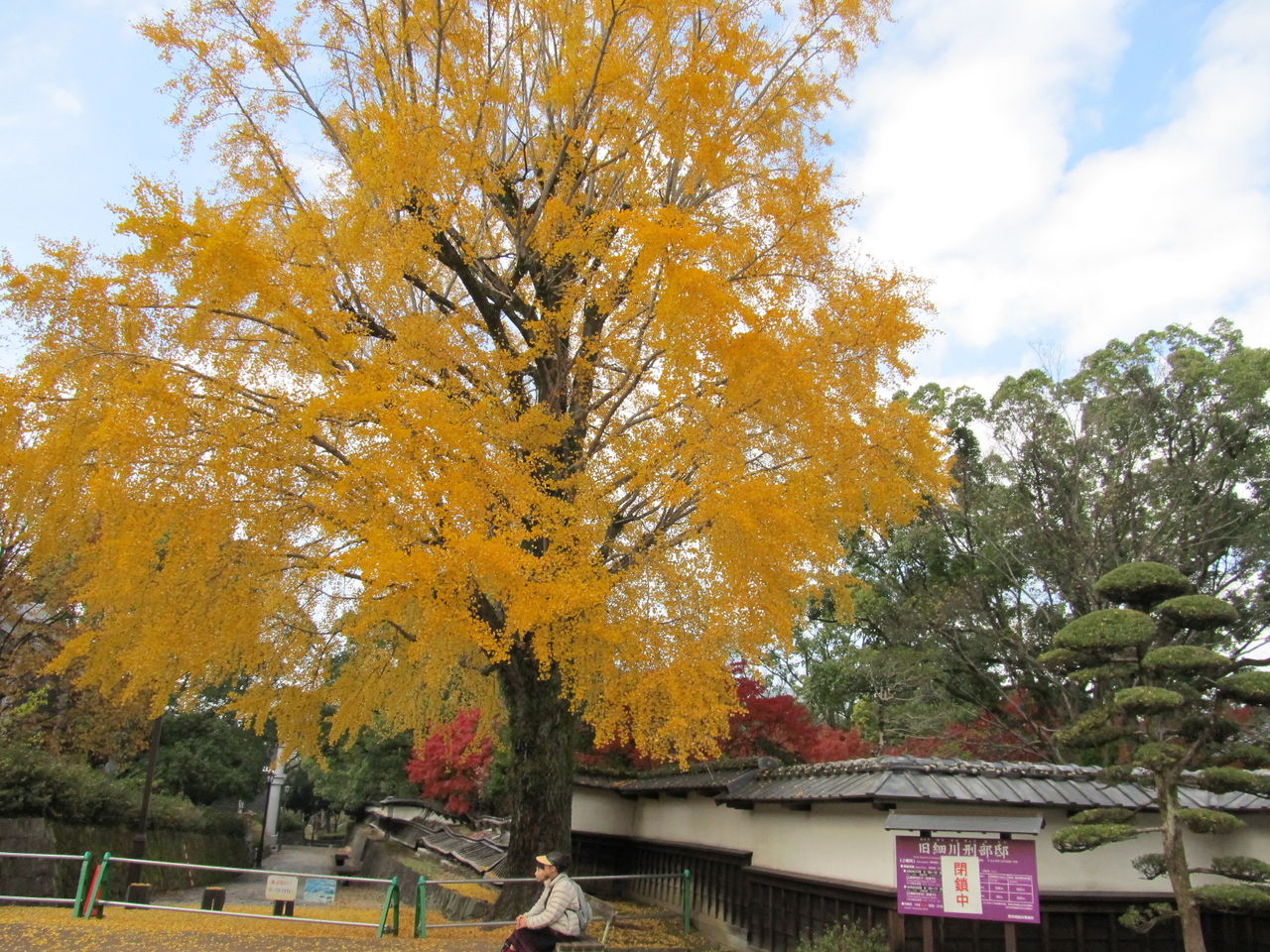 秋の紅葉 旧細川刑部邸 山中人独語