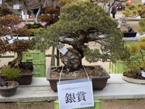 DSCN5190