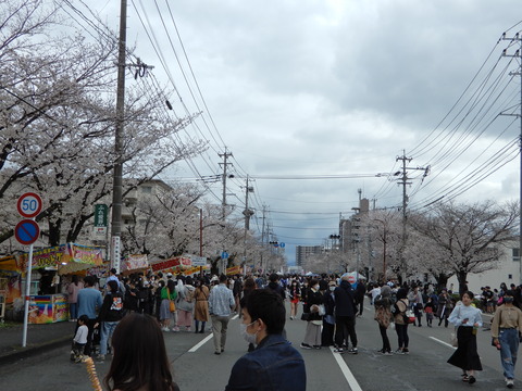 DSCN6824