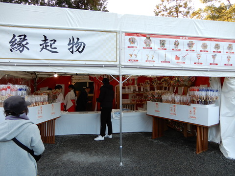 DSCN9152