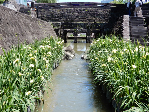 DSCN8607
