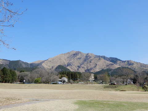 DSCN4258