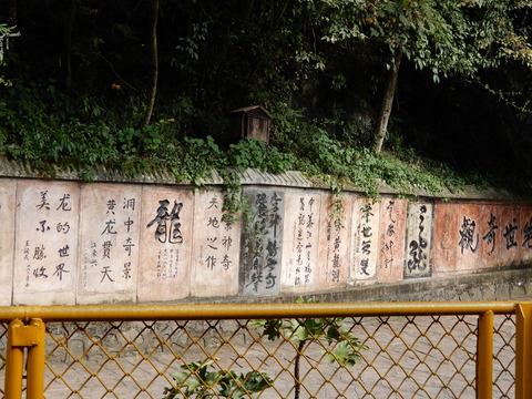 DSCN2264