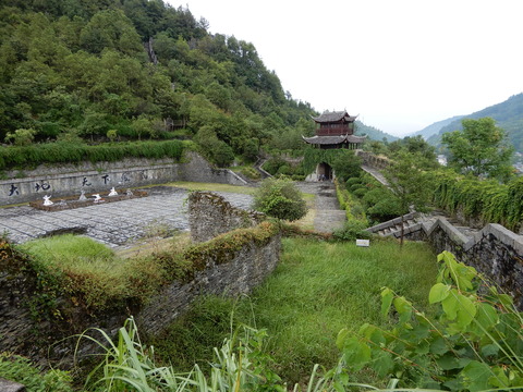 DSCN2722