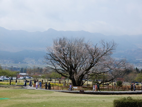 DSCN8280