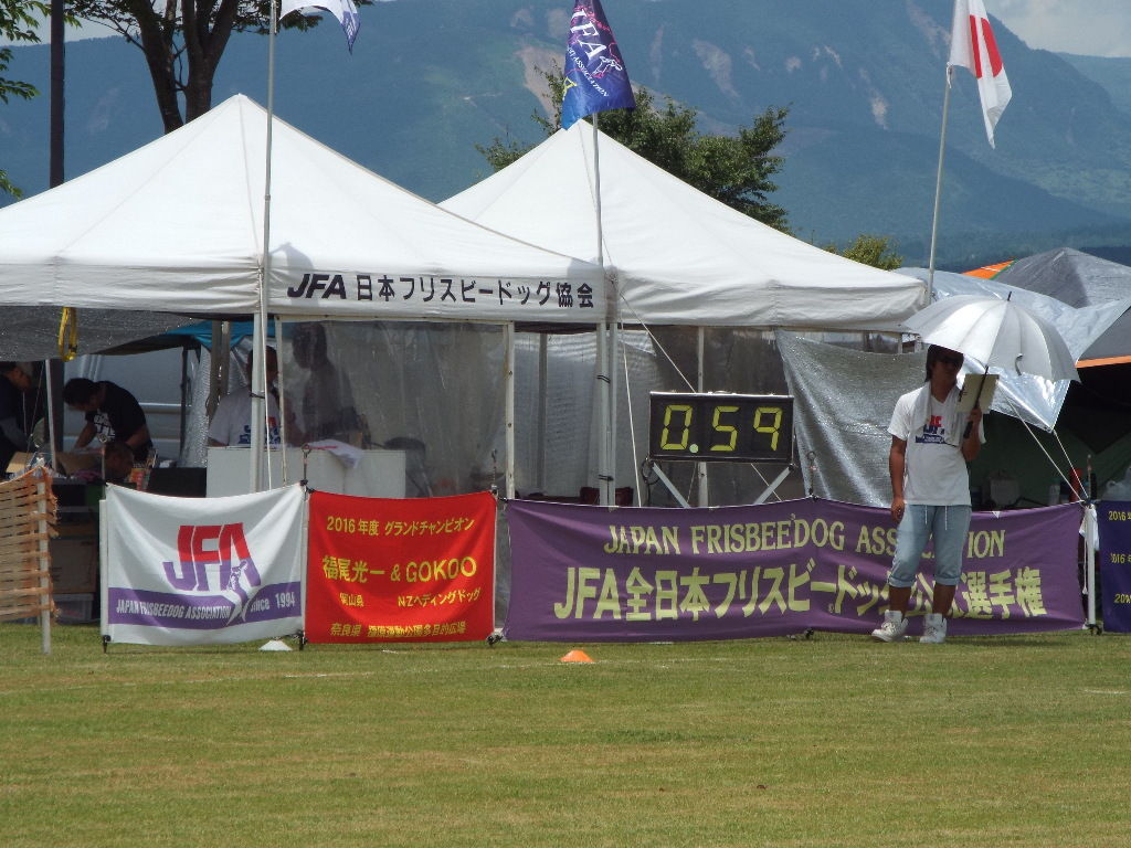 イメージ 7