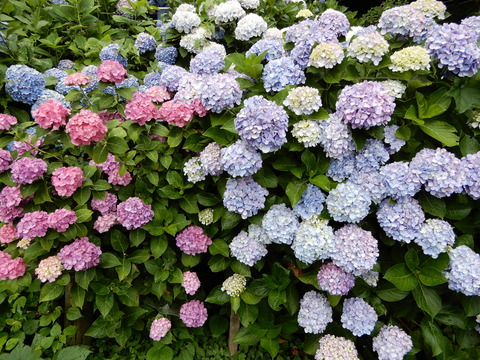DSCN5814