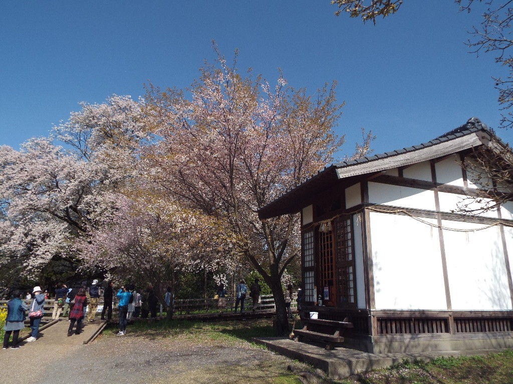 イメージ 8