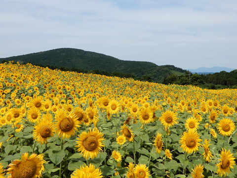 DSCN9866
