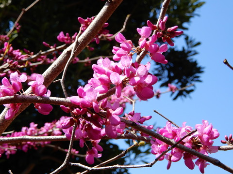 DSCN3571