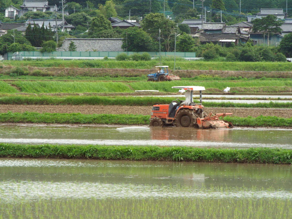 イメージ 1