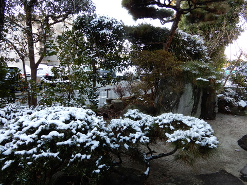 DSCN3925