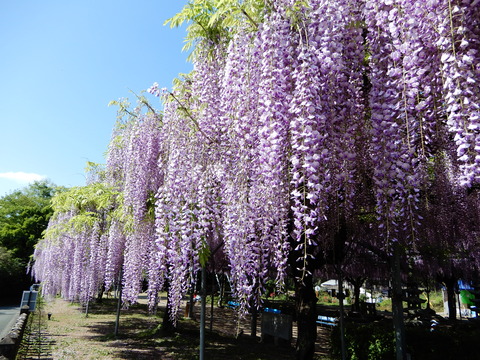 DSCN9572