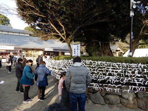 DSCN6553