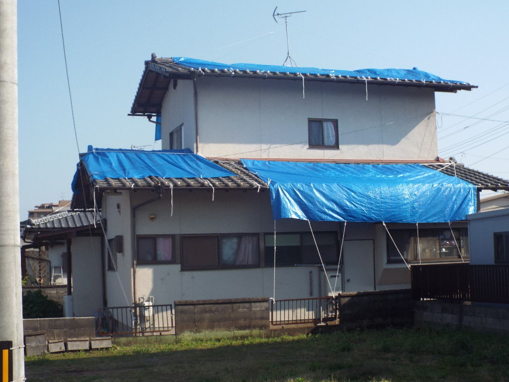 イメージ 11