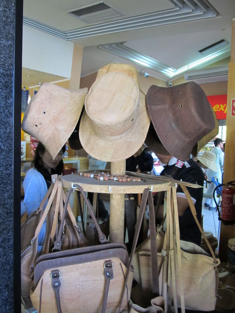 イメージ 12
