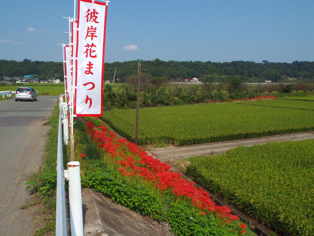 イメージ 1