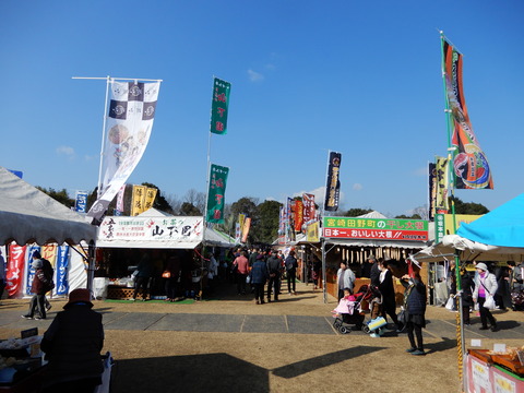 DSCN3375
