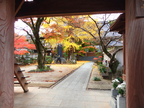DSCN6468