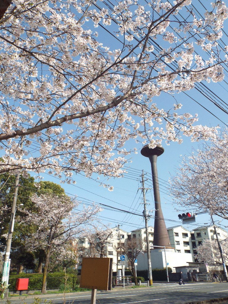 イメージ 3